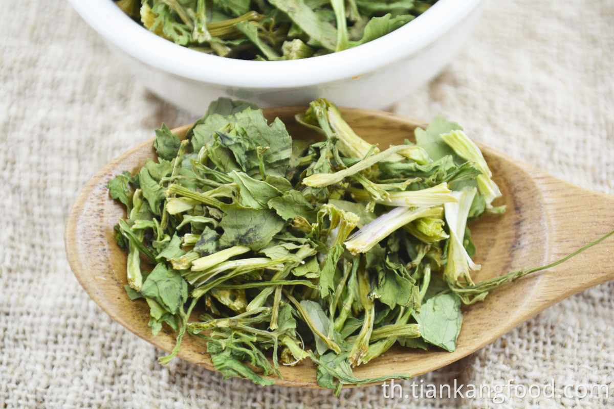 ใบผักชีที่คายน้ำพรีเมี่ยม Premium dehydrated coriander leaves